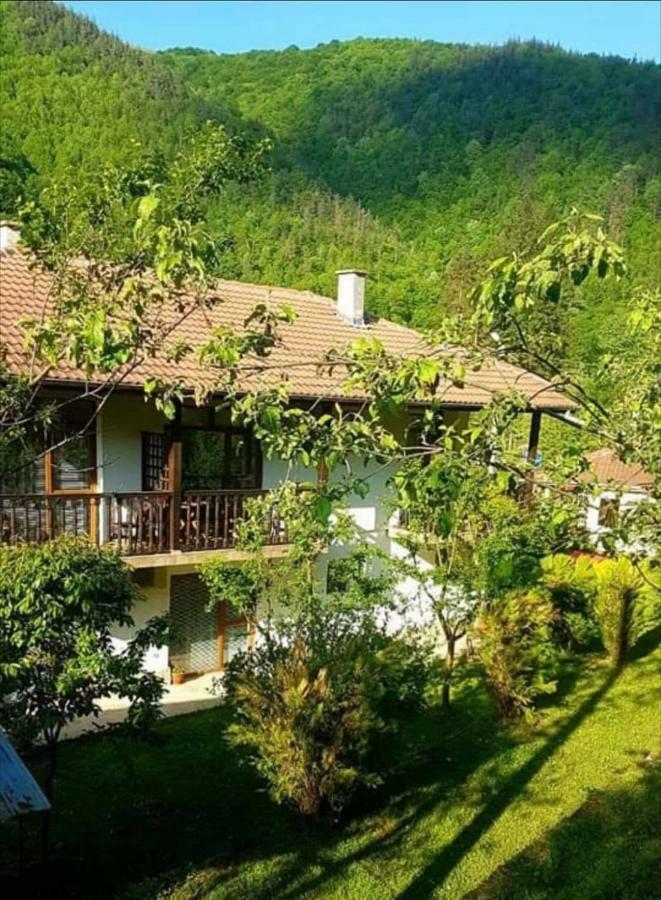 Вила Керенски Ribaritsa Exterior foto