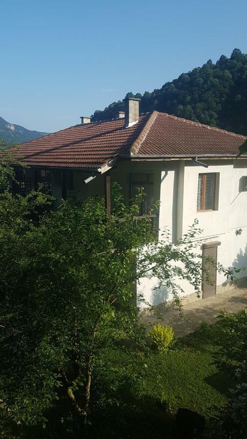 Вила Керенски Ribaritsa Exterior foto